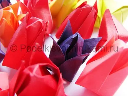Hogyan lehet a papír tulipán a kezükből (csinálni) Hogyan lehet a papír tulipán a saját kezét