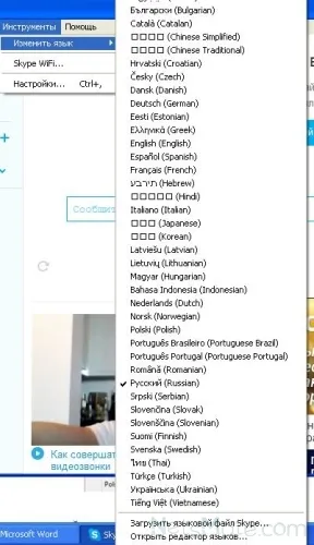Hogyan változtassuk meg a nyelvet, skype (skype) Hogyan változtassuk meg a nyelvet, skype