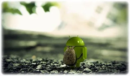 Hogyan változtassuk meg a firmware-t a android, c-használat