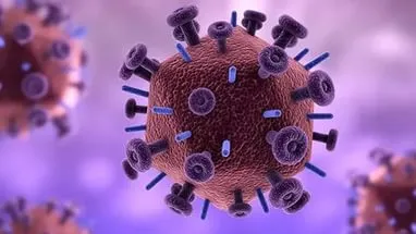 Hogyan megölni HIV-hőmérsékleti mutatók kedvezőtlenül befolyásolhatja a retrovírus (hőmérséklet) Hogyan megölni HIV-hőmérsékleti mutatók kedvezőtlenül befolyásolhatja a retrovírus