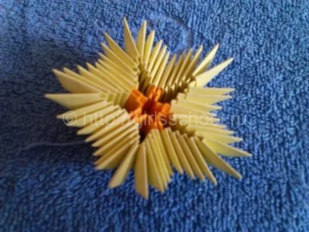 Cactus origami modulok lányok iskolai
