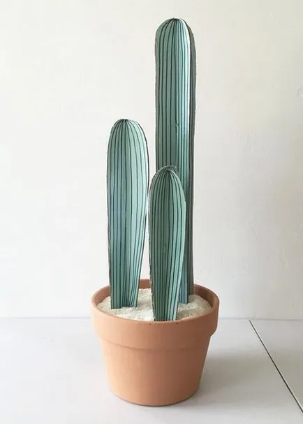 Cactus karton