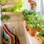 Hogyan lehet díszíteni az erkélyen kezével Photo dekoráció ötletek loggia