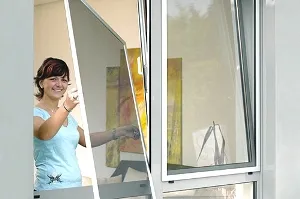 Hogyan erősít a házat gyorsan mol megjelenés, megszüntetése, megelőzése