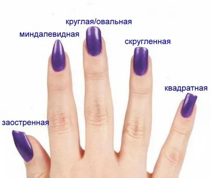 Hogyan válasszuk ki a forma körmök felépíteni, kéz- és minden személyes kényelem, gondoskodás, szépség (kiválasztás) Hogyan válasszuk ki a forma körmök felépíteni, kéz- és minden személyes kényelem, gondoskodás, szépség