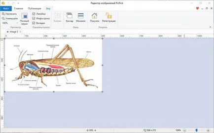 Hogyan húzza a képet pdf