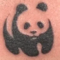 Jelentés tetoválás panda