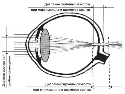 Pupilla az emberi - szerkezet, funkció, fény hatására