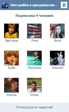 Hogyan lehet behelyezni egy VKontakte csoport widget a helyszínen - a szerző blogja Svetlana Slobodenyuk