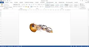 Hogyan lehet szerkeszteni egy képet egy Word (változás) Hogyan lehet szerkeszteni egy képet a Word