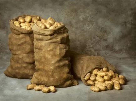 Burgonya „egységes”