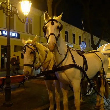 A kocsi az esküvő - do ünnep emlékezetes (edző) A kocsi az esküvő - nem ünnep emlékezetes