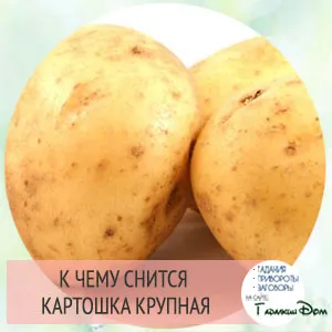 Miért álom egy burgonya egy álom azt jelenti, hogy a növény, eltávolítása vagy burgonya héja (átlag) Miért álom egy burgonya egy álom azt jelenti, hogy a növény, eltávolítása vagy burgonya héja
