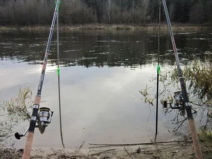 Amikor indul fogása ponty tavasszal (hibrid) luchshshe időt fogása ponty