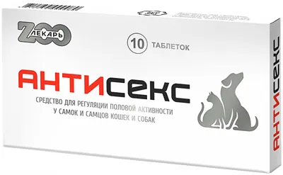 Cat megkéri macska, mint azt, hogy nyugodt a hazai (cat) Cat Cat megkérdezi tőle, hogy nyugodt a pénzt otthon