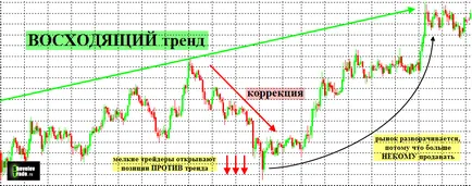 Ki, hogyan és miért a könnyeket stop-loss, hatékony kereskedés Aleksandrom Shevelevym