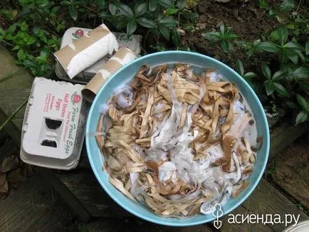Hová tegye a dobozt ki a tojás (kerti díszek) Hová tegye a dobozt ki a tojásból
