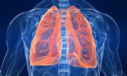 Obstruktív bronchitis népi jogorvoslat