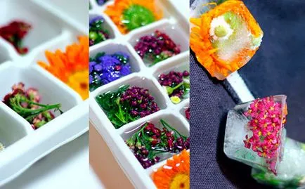 Ice arcráncok receptek, szabályok és ellenjavallatok (fő) Ice arcráncok receptek, szabályok és ellenjavallatok