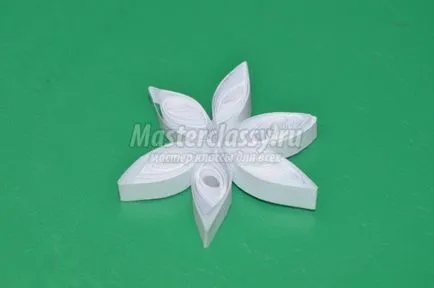 Quilling kezdőknek rendszer, mesterkurzusokat fotók és videó (fotó) Quilling kezdőknek rendszer, mesterkurzusokat képek és videó