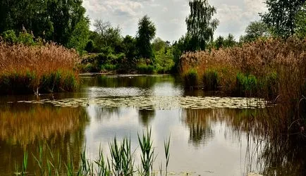 Tench halászat májusban az úszó rúd - Tackle, csali és horgászfelszerelés (lin) Tench halászat májusban az úszó rúd - Tackle, csali és horgászfelszerelés
