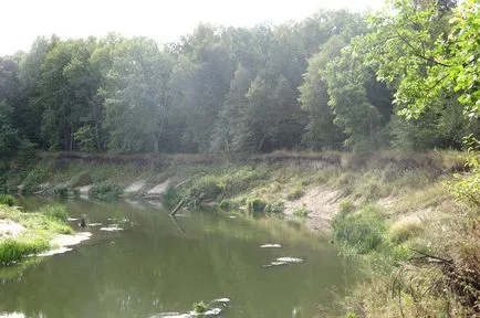 Ide halászat a folyó közepén