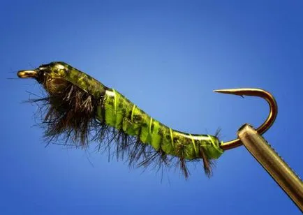 Lárva Caddis leírás, élőhelyek és reprodukciós (Caddis) Caddis lárva leírás, élőhelyek és a reprodukciós