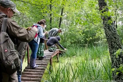 Hogy mit lehet keresni a nyáron Hogy mit lehet keresni a nyáron