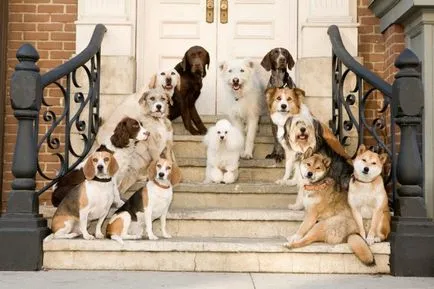 Hogy mit lehet keresni a nyáron Hogy mit lehet keresni a nyáron