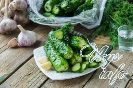 Sós uborka egy csomagban fokhagymás - recept fotókkal (recept) Sós uborka egy csomagban fokhagymás - recept fotókkal
