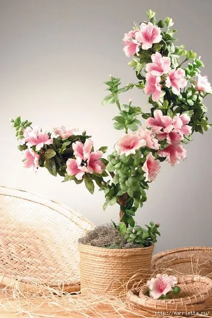 Mesterkurzusok modellezése hideg kaolin és polimer (polimer) Mesterkurzusok modellezésére hideg porcelán- és polimer agyag