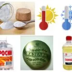Kis kopogóbogár, hogyan lehet megszabadulni (daráló) Kis kopogóbogár, hogyan lehet megszabadulni