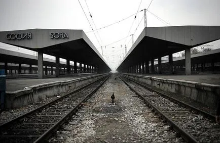 A világ nem az emberek, fotó hírek (apokalipszis) A világ nem az emberek, fotó hírek