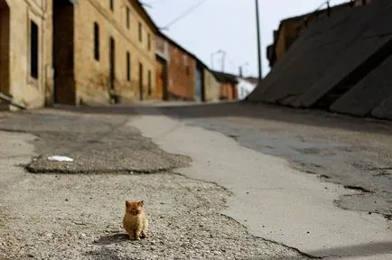 A világ nem az emberek, fotó hírek (apokalipszis) A világ nem az emberek, fotó hírek
