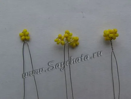 Mimosa Bead - Gyöngy hack