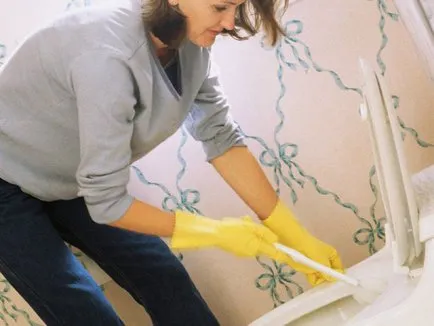 Húgyúti kő a WC, hogyan kell eltávolítani, mint oldódik fel, mosás, videó és fénykép utasítás (eltávolítás) Húgyúti kő a WC, hogyan kell eltávolítani, mint oldódik fel, mosás, videó és fotó oktatás