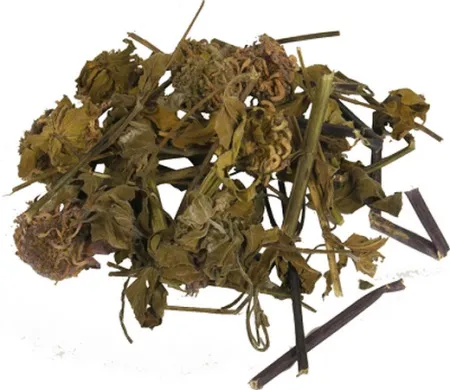 Monarda hasznos és terápiás tulajdonságokkal, kár, olaj, telepítése és karbantartása (olaj) Monarda hasznos és terápiás tulajdonságait, kár, olaj, ültetés és gondozás