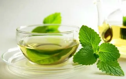 Mint hasznos tulajdonságok és ellenjavallatok (hasznos) Menta, hasznos tulajdonság és ellenjavallatok