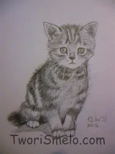 Rajzolj egy cica fokozatosan, a kreativitás - ilyen az élet!