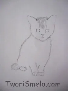 Rajzolj egy cica fokozatosan, a kreativitás - ilyen az élet!
