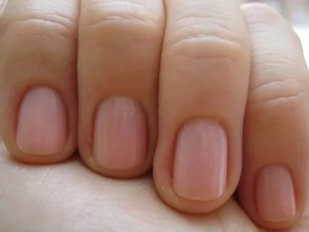 Nail kezdőknek otthon (kapacitás) Nail kezdőknek otthon
