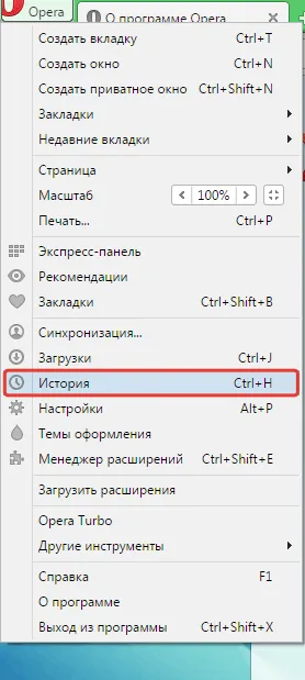 Nem sikerült betölteni a plug-in opera - mit kell tenni