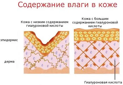 Dehidratált bőr személy, mit kell tenni, a tünetek felülvizsgálata népi jogorvoslat, gondoskodás szabályai