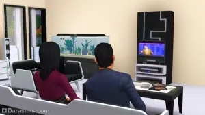 Áttekintés katalógus «The Sims 3 modern luxus”, az univerzum a játék a Sims!