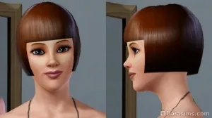 Áttekintés katalógus «The Sims 3 modern luxus”, az univerzum a játék a Sims!