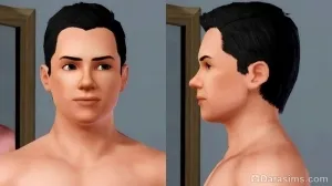 Áttekintés katalógus «The Sims 3 modern luxus”, az univerzum a játék a Sims!