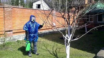 Kerti feldolgozása kártevők és betegségek tavasszal, mikor és hogyan kell permetezni (betegségek) Kerti feldolgozása kártevők és betegségek tavasszal, mikor és hogyan kell permetezni