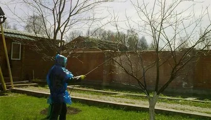 Kerti feldolgozása kártevők és betegségek tavasszal, mikor és hogyan kell permetezni (spray) Kerti feldolgozása kártevők és betegségek tavasszal, mikor és hogyan kell permetezni