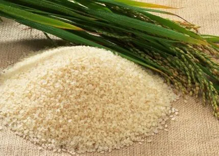 Rice és congee