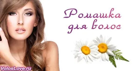 Hair Kamilla 18 házi receptek és vélemények
